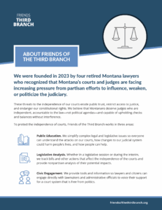 FACT SHEET: About Friends of the Third Branch